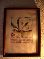 I love this this lovely little dandelion picture with its poem to honor God (Gott zu ehren, blühen und vergehen, allen guten Samen in die Welt verwehen), hanging in Elfriede and Siegbert's home.